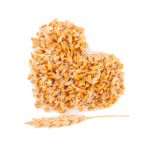 Ricco di fibre